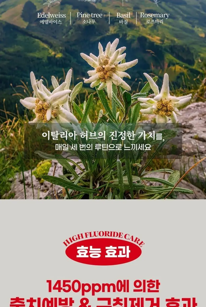 [NEW] 덴티본조르노 1450 고불소 치약 100g 상세페이지 3